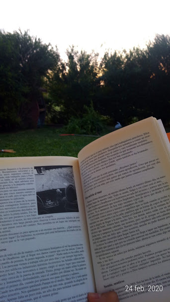 Leyendo el libro